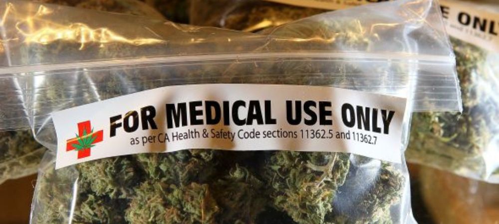 Marihuana rica en CBD para tintura de marihuaan