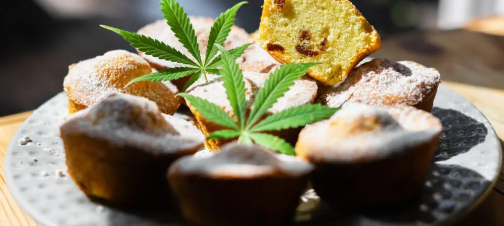 Muffins de cannabis y chocolate