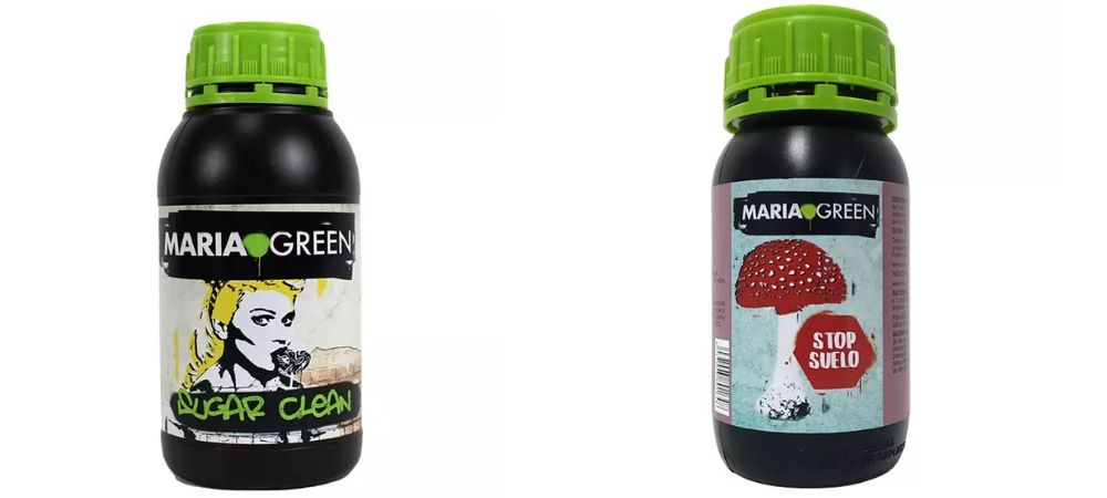 Floracion Maria Green