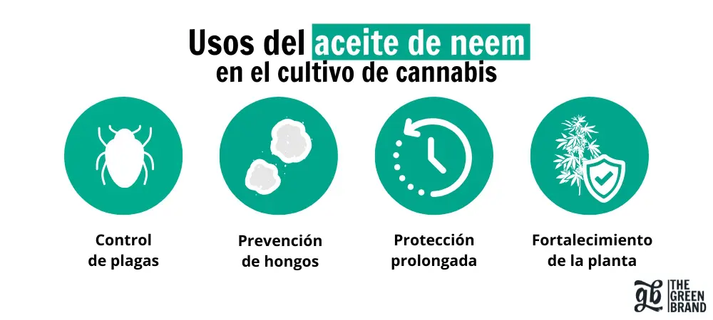 Usos del aceite de neem