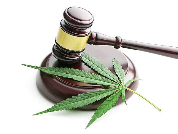 situacion legal de la marihuana