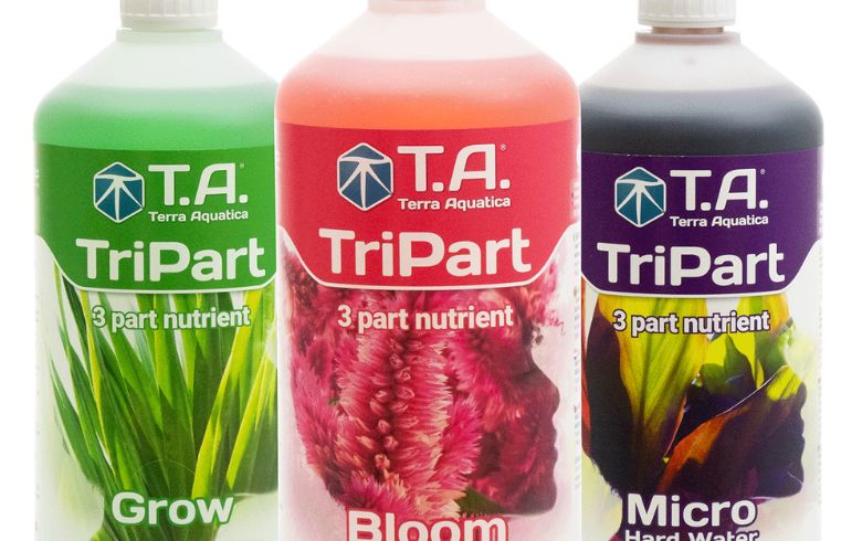 Noticias Cannábicas