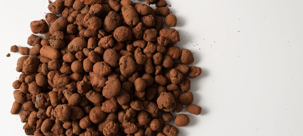 Arcillla expandida Argila expandida