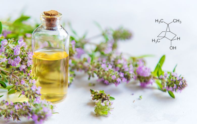 Noticias Cannábicas