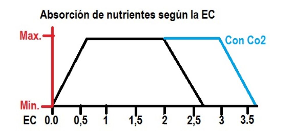 EC en la marihuana y absorción