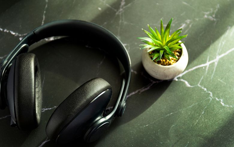 Efectos de la música para las plantas