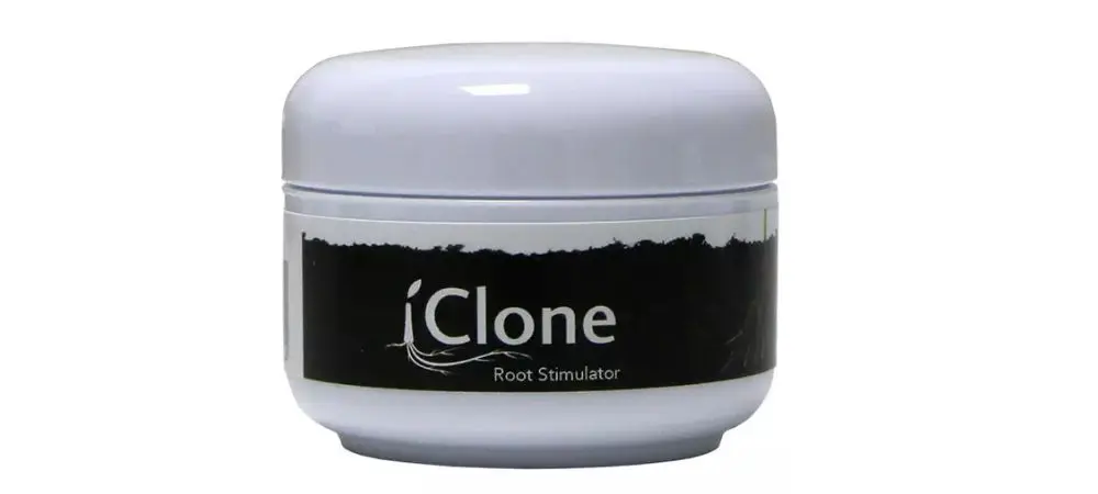 Iclone