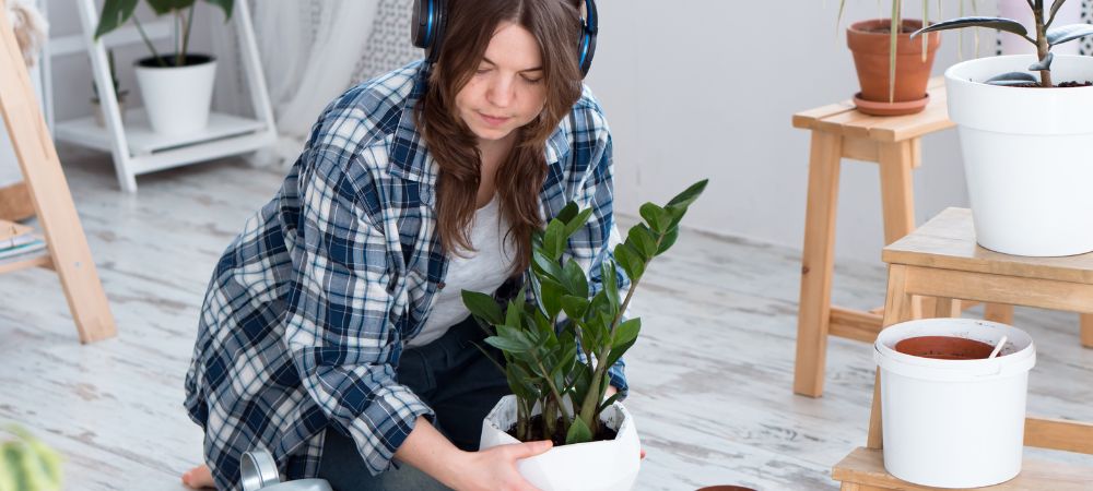 Música y plantas
