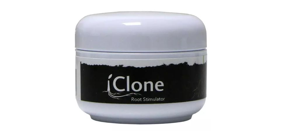 iclone