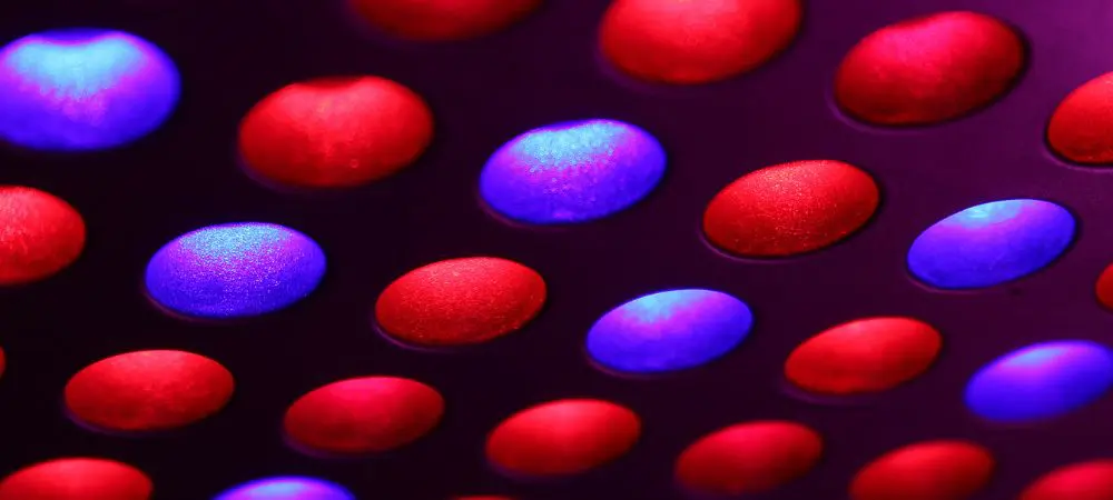 led bulbs