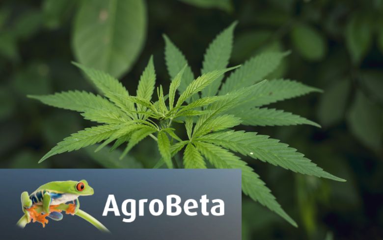 Guías de cultivo Guías de cultivo
