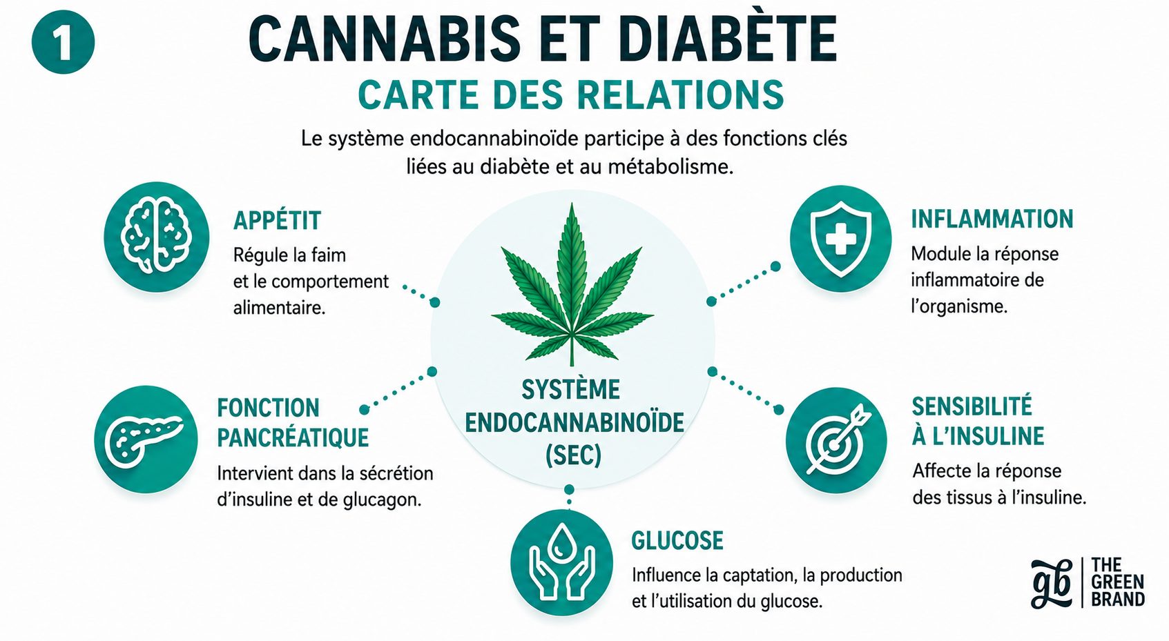 Carte relationnelle entre le cannabis et le diabète