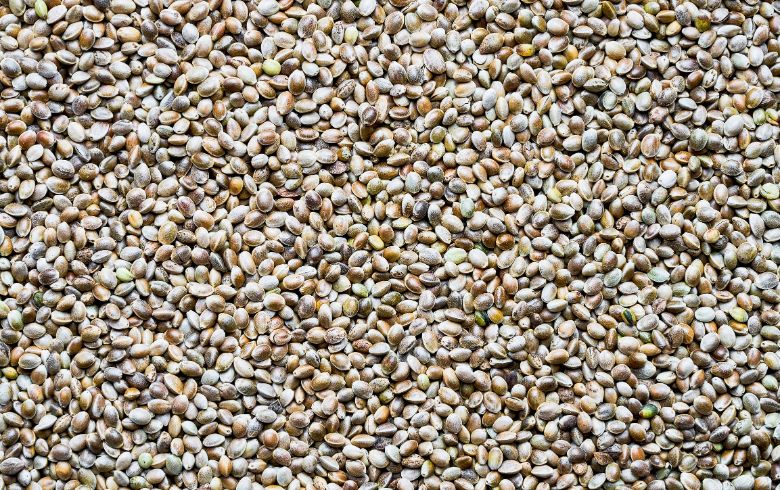 Noticias Cannábicas