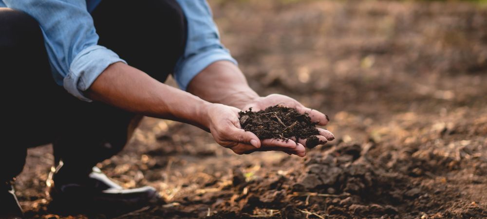 diffferent type of soil