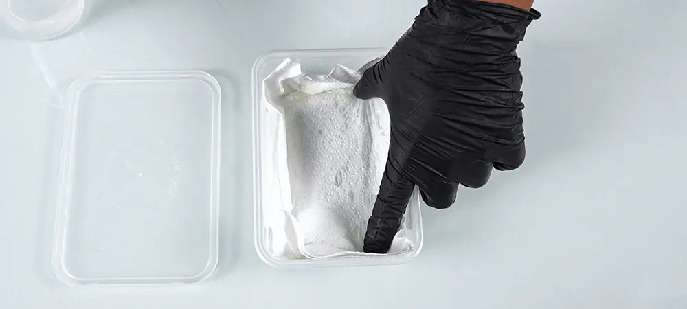 Cómo germinar semillas de marihuana