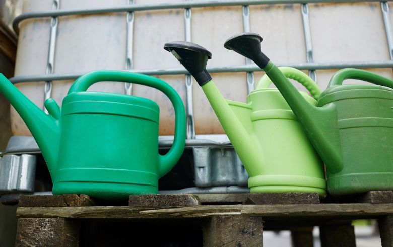 Guías de cultivo Guías de cultivo