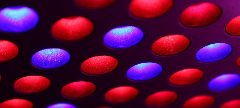 Focos LED indoor