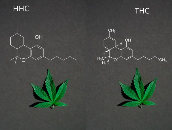 HHC y THC