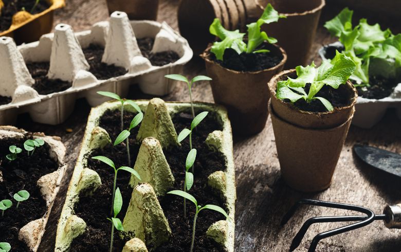 Análisis de productos Análisis de productos