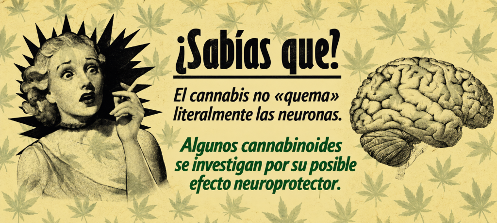 sabías que ?