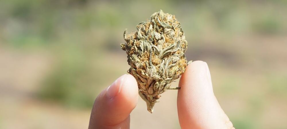 Tambores Ketama desaparecer