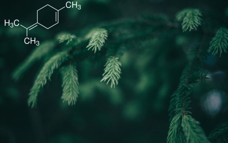 Noticias Cannábicas