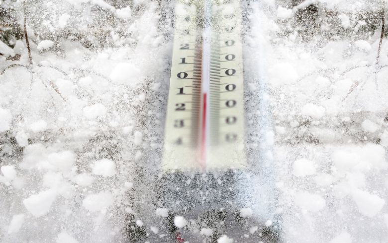 Variedades para climas fríos