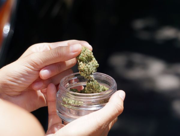 ¿Cómo hacer una cata de marihuana correctamente?