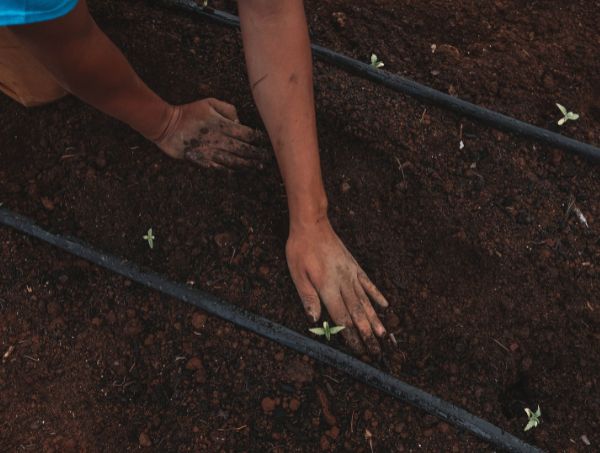 Düngemittel die nicht miteinander vermischt werden können
