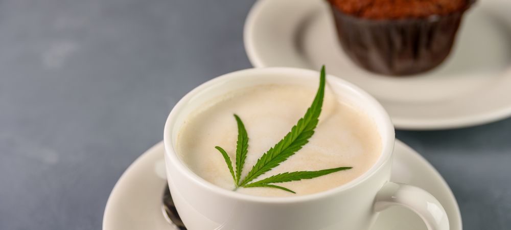 Infusión cannábica