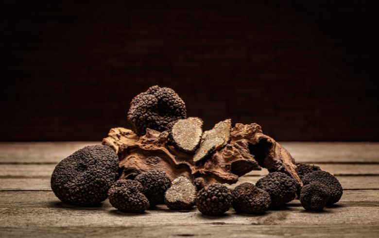 Noticias Cannábicas