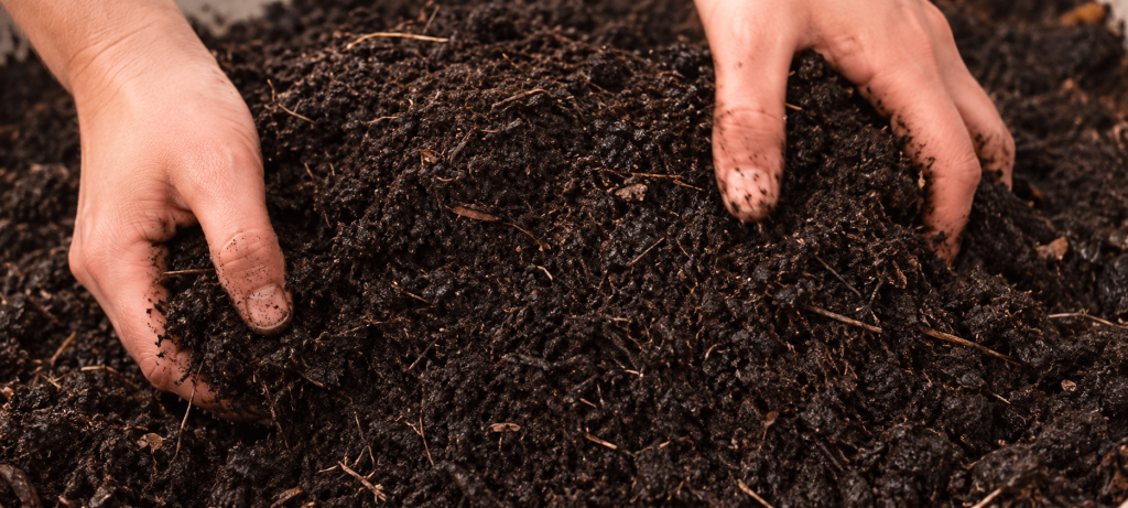 vermicompost listo para usar