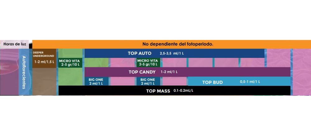 Schéma de culture Top Crop autofloraison