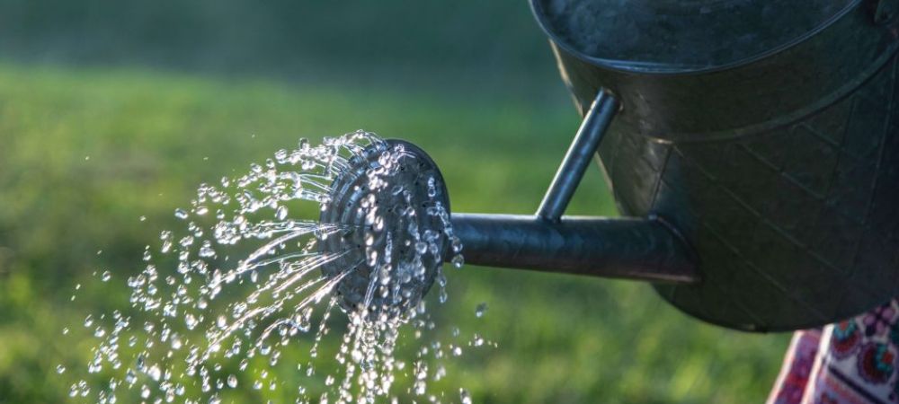 Uso fertilizantes de líquidos