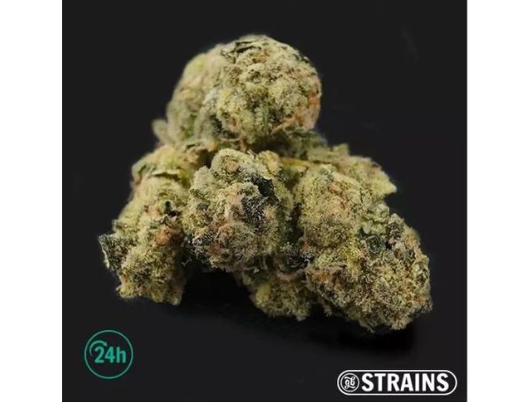 Noticias Cannábicas