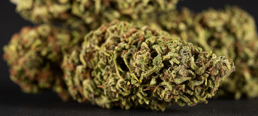 Cómo saber si la marihuana es de calidad