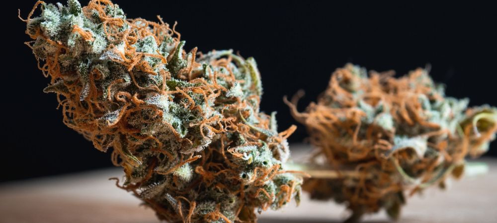 Bolsa de papel kraft Curado marihuana