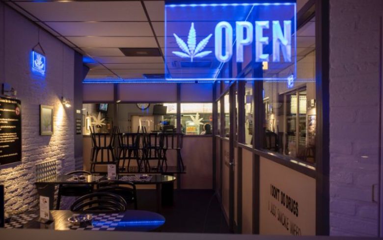 Noticias Cannábicas