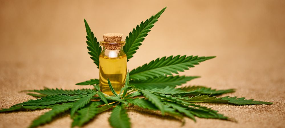 Aceite de cannabis