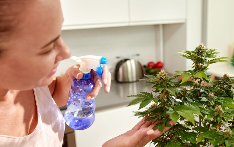 Análisis de productos