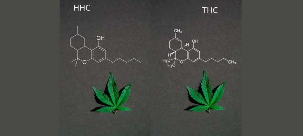 hhc que es
