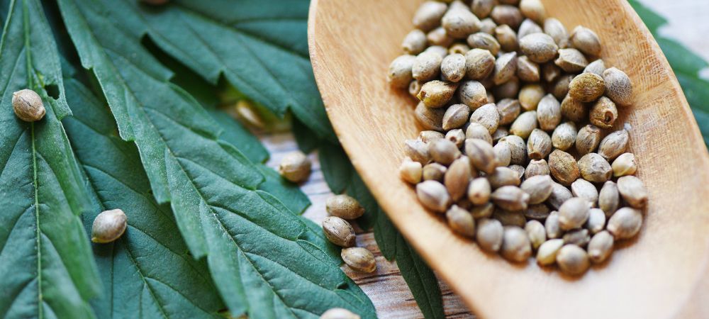 What to do if a seed doesn't germinate