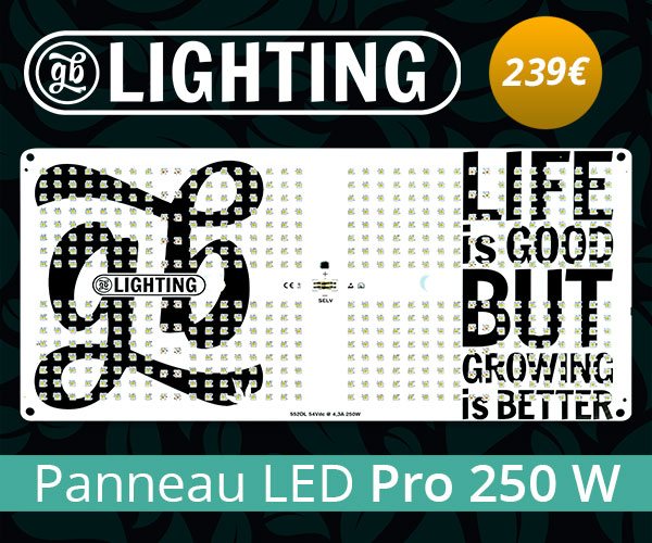 panneau led pro 250 w