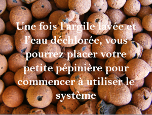 l'aquaponie, l'hydroponie organique!
