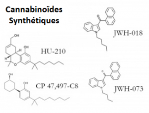 cannabinoides