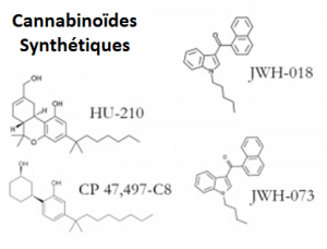 cannabis vs cannabinoïdes synthétiques