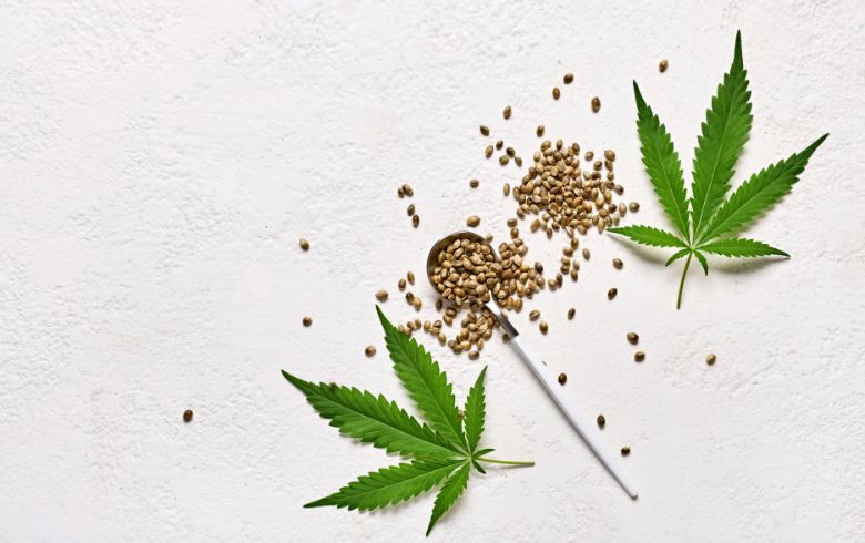 Recetas con marihuana