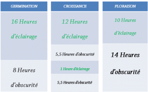 La Technique Reinhard Delp tableau cycle de delp la technique reinhard delp