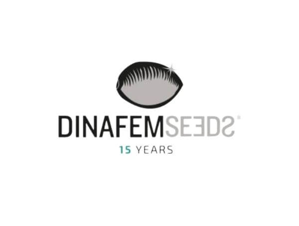 dinafem
