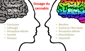 la dependance face au cannabis
